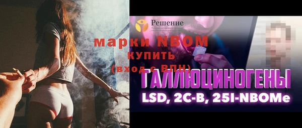 прущие грибы Алзамай