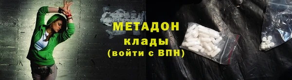 прущие грибы Алзамай