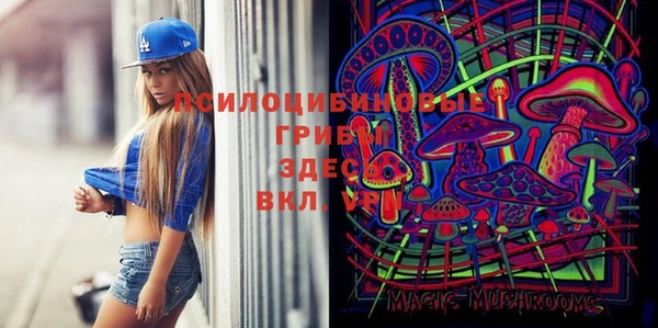 бутират Алексеевка