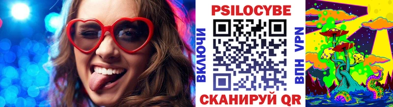 купить наркоту  Щигры  Псилоцибиновые грибы прущие грибы 